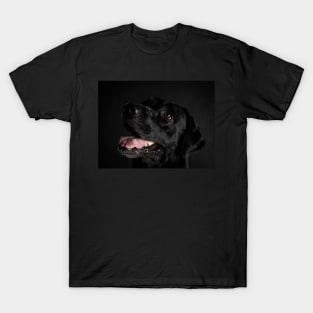 Labrador Retriever T-Shirt